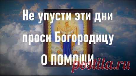 Богородице Дево Радуйся. На Покров Пресвятой Богородицы и Приснодевы Марии.