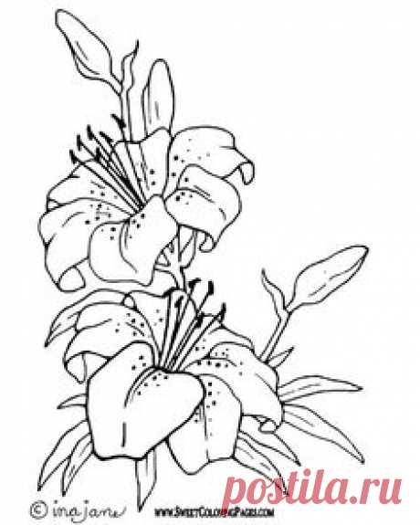 scenic coloring pages | ... /Shakespeare/A Midsummer Nights…