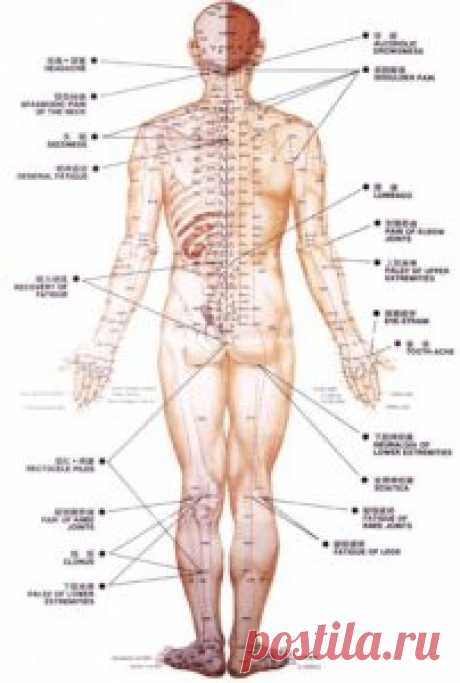 Простой китайский способ лечения от ВСЕХ болезней |