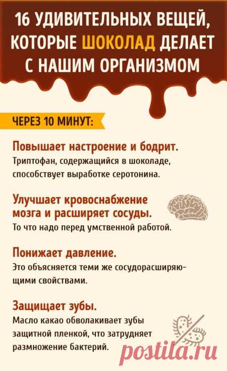 Что происходит с нашим организмом после дольки шоколада | Диеты со всего света