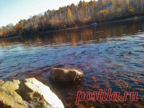 вода всегда завораживает... А тут ещё и игра солнечных лучей и ярких сентябрьских красок)