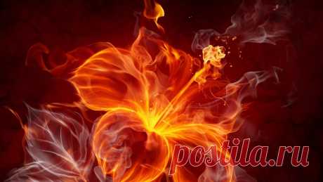 Cute Wallpapers Cute Fire Background Pinterest Fire Flower Wallpapers Full res image named Cute Wallpapers Cute Fire Background Pinterest Fire Flower Wallpapers at 1440x810 added by marysa_33. 16010537