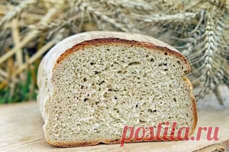 Подкормка хлебом: 4 растения, которые в ней нуждаются Бывалый огородник знает, что даже заплесневелый хлеб может пригодиться во время работ на участке.