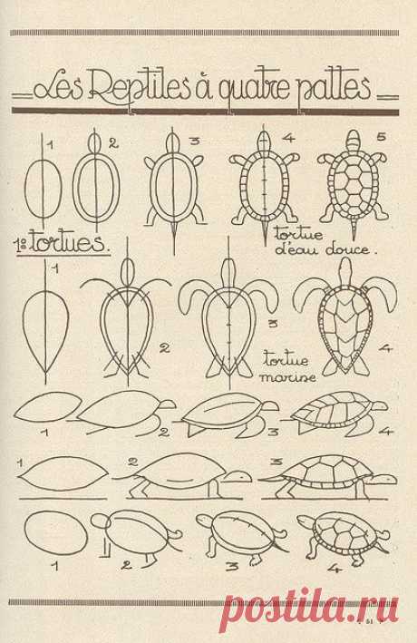 Kimberly Young приколол(а) это к доске How to draw