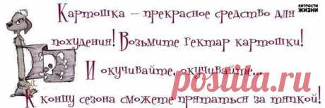 Прикольные фразочки в картинках - ФОТО (03.04.2015)