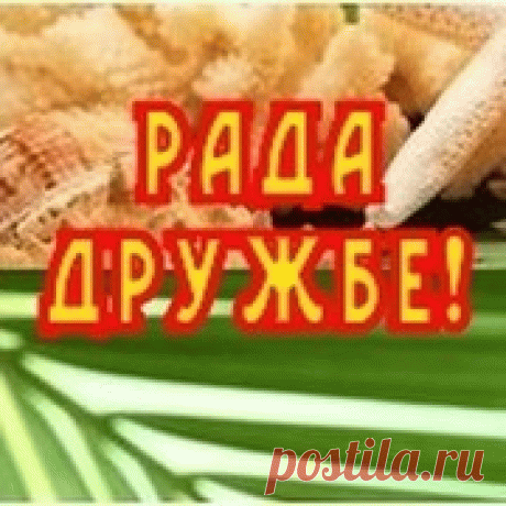 Гифки с природой