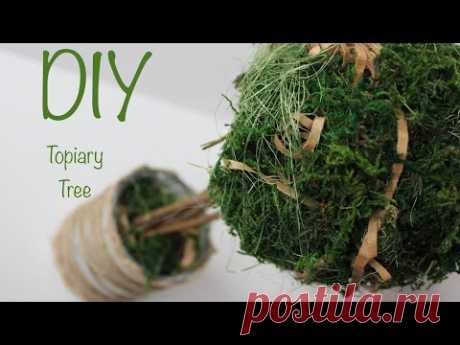 DIY Topiary Tree / Топиарий своими руками - YouTube
#topiarydiy
#topiary #топиарий #топиарийсвоимируками