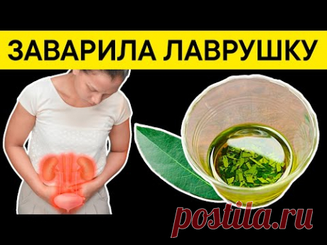 Просто заварила ЛАВРОВЫЙ ЛИСТ и ИЗБАВИЛАСЬ от 9 недугов!!!