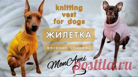 Как связать спицами жилетку для собаки, knitting vest for dogs