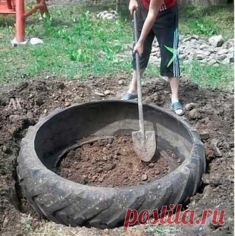 Красивый пруд из старой покрышки