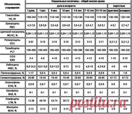 Общий анализ крови.Нормальные величины