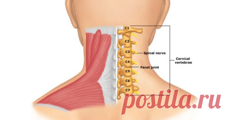 Гимнастика Бутримова: нормализует кровообращение и восстановит правильное положение позвонков шеи