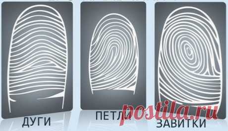 Что означает каждый узор на ваших пальцах? - У нас так ШТРИХ-КОД СУДЬБЫ Что означает каждый узор? Это интересно! Если внимательно посмотреть на подушечки пальцев, можно увидеть, что линии складываются в строгие узоры. Это могут быть дуги, петли и...