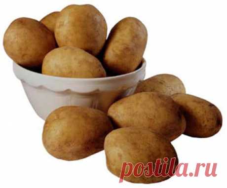Готовим картофель к посадке | Хитрости жизни