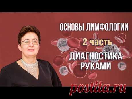 Основы лимфологии | Диагностика руками  | Шишова Ольга | часть 2