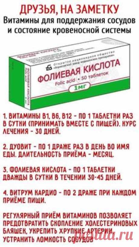 СОСУДЫ КРОВЕНОСНОЙ СИСТЕМЫ