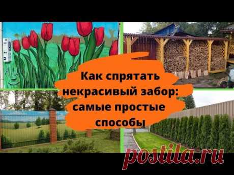 Как спрятать некрасивый забор: самые простые способы