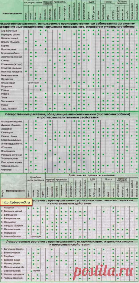 Лекарственные растения для лечения заболеваний