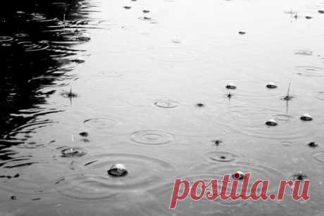 20 интересных фактов о дожде | Занимательный журнал