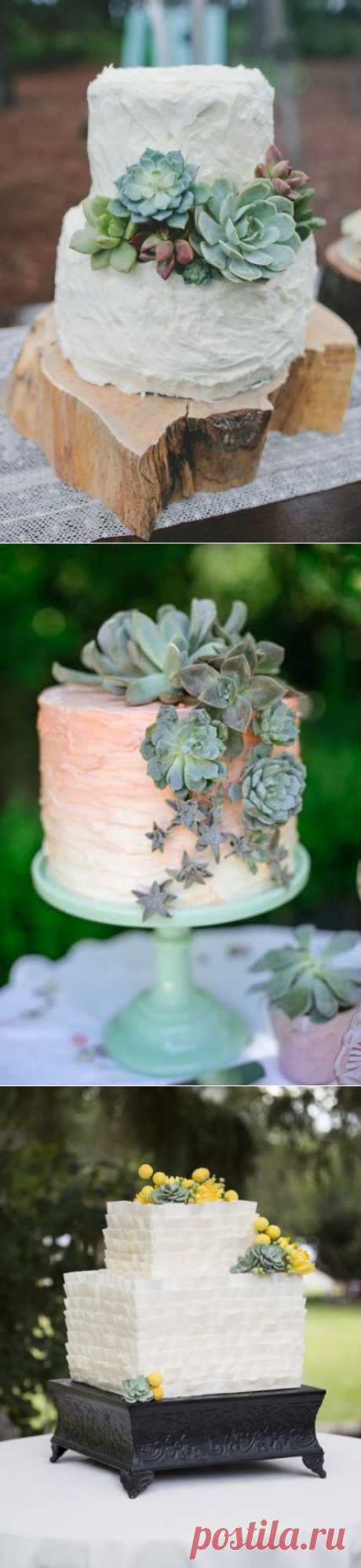 2015 Свадебный Trend: Свадебные торты, украшенные суккулентами