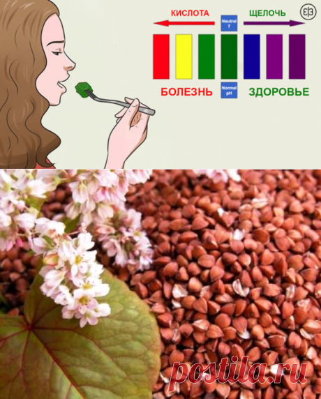 Список лучших 27 щелочных продуктов на планете. Ешьте их больше, чтобы предотвратить самые опасные болезни! - Интересно всем