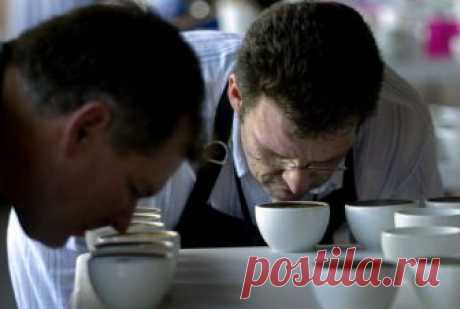 Запах кофе увеличивает продуктивность труда? - Новости Yellmed.ru