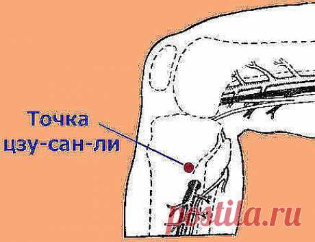 (62) Одноклассники