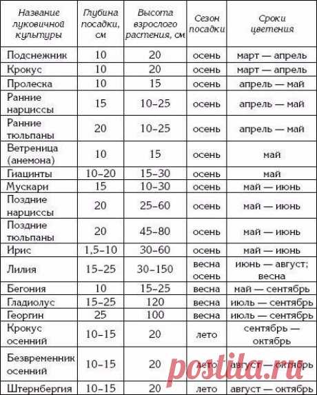 Построй уДАЧУ, дом|Строительство, ремонт, дача