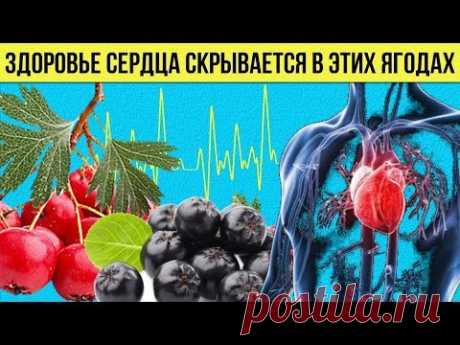 Невероятная польза для Здоровья Сердца, которая скрывается в этих 3 х ягодах Как укрепить Сердце - YouTube