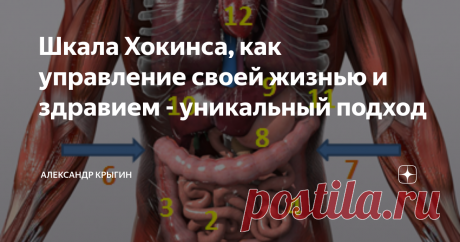 Шкала Хокинса, как управление своей жизнью и здравием - уникальный подход Чем мне понравилась эта шкала? Она очень показательна в смысле понимания, на каком энергетическом уровне находится человек. Сплошь и рядом слышим о жизненной энергии – а как её ощутить в своём личном теле? Это что и как? По Хокинсу любуемся вот этой очень красочной ШКАЛОЙ: Теперь о СМЫСЛАХ: Пребываешь по большей части в состояниях ниже 200 – значит, живёшь за счёт внутренних ресурсов своего тела. Ран...