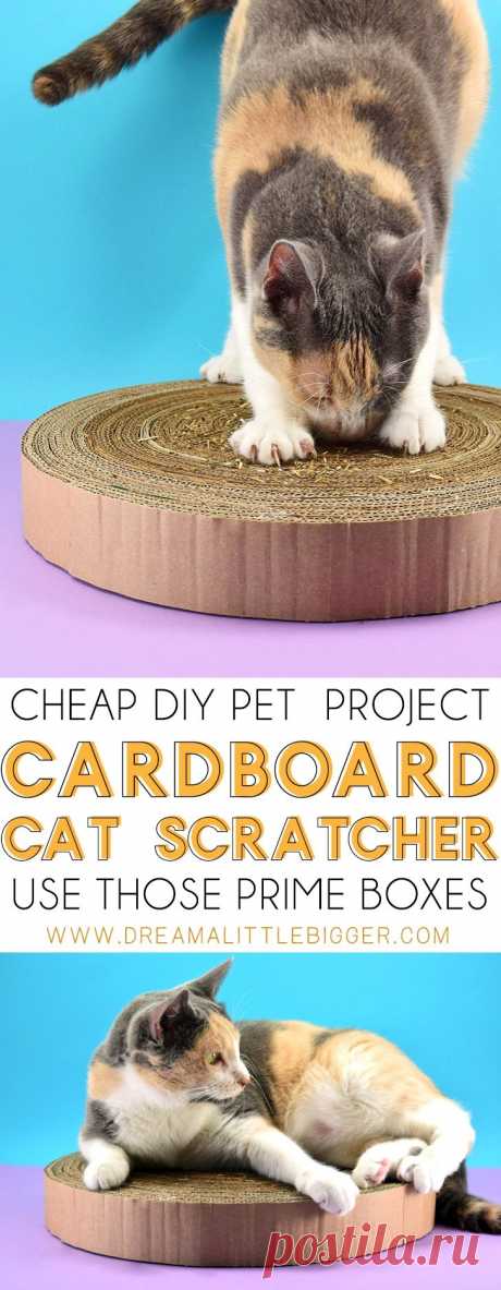 DIY Cardboard Cat Scratcher ⋆ Dream a Little Bigger