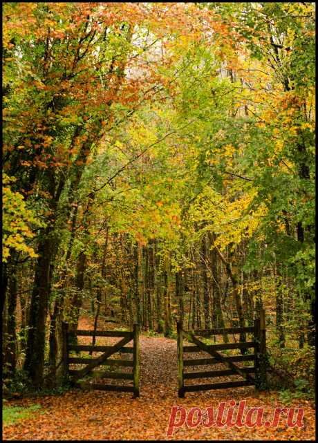 Yadi 🌹 — pagewoman: Third Gate, Rockingham, Co....