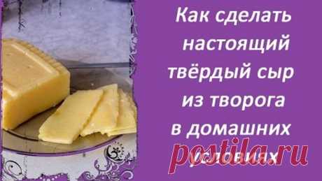 Как сделать настоящий твёрдый сыр из творога в домашних условиях, быстрый, простой и дешёвый рецепт