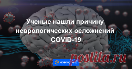 Ученые нашли причину неврологических осложнений COVID-19 Неврологические осложнения при COVID-19 могут возникать из-за гибели сосудов мозга, выяснила международная команда исследователей. SARS-CoV-2 оказался способен проникать во внутренний слой сосудов и разрушать клетки. Наблюдения за животными, впрочем,...