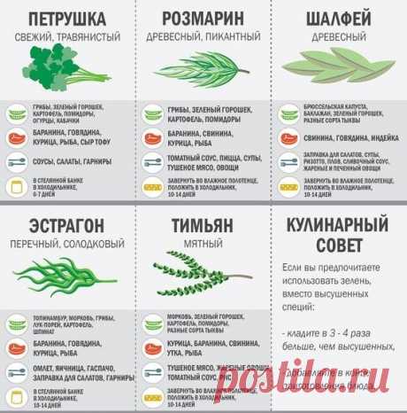 Какая зелень самая полезная

1. Базилик – отличное противовирусное средство, эффективен при лечении кашля, полезен при астме, стимулирует иммунную систему. Эта трава содержит витамин С, камфен, эвенгол и цинеол. Благодаря этим веществам эфирные масла базилика снимают воспаления и даже имеют качества антибиотика.

Давно известно, что зеленый базилик отличное дезинфицирующее и дезодорирующее средство для полости рта – устраняет неприятный запах, убивает бактерии во рту.

Эта...