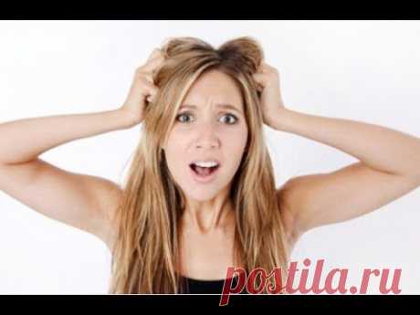Как ухаживать за жирными волосами | ПолонСил.ру - социальная сеть здоровья