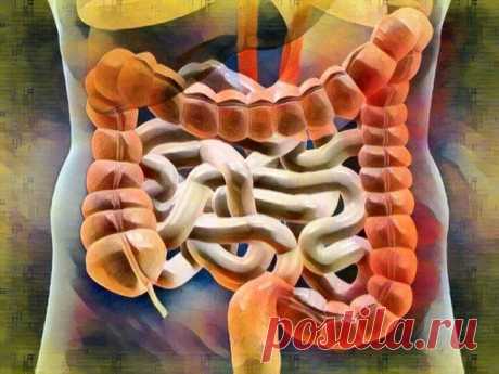 Здоровая микрофлора – здоровый организм: 5 простых способов улучшить работу кишечника