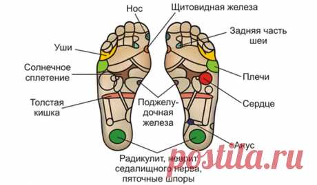 Именно с ног начинается постепенное старение организма, и вот по какой причине… | My smilegun