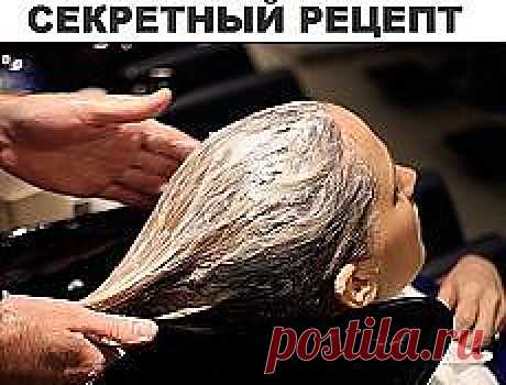 Поиск на Постиле: выпадение волос