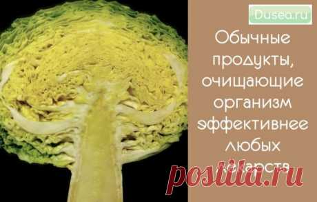 7 продуктов, которые очищают организм лучше любых лекарств | Dusea.ru | Первый женский