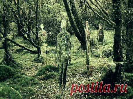 Стеклянные скульптуры-призраки в лесах Шотландии.