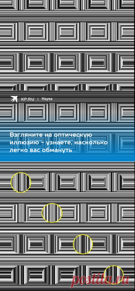 Взгляните на оптическую иллюзию - узнаете, насколько легко вас обмануть - KP.RU