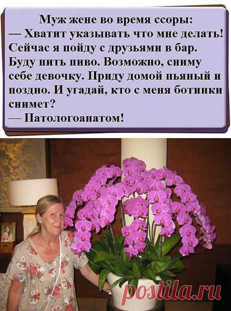 (14) Одноклассники