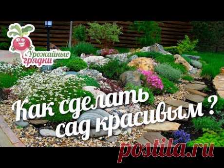 Как сделать сад красивым? Из практики садовода #urozhainye_gryadki