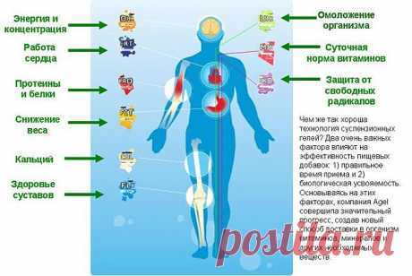 ВИТАМИНЫ ПРЕДНАЗНАЧЕНЫ ДЛЯ СПОРТСМЕНОВ И ДЛЯ ВСЕХ КТО ХОЧЕТ ДОЛГО ЖИТЬ