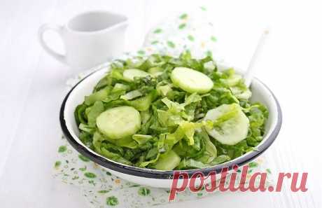 Салат зеленый с огурцом с растительным маслом - DYNASTYOFCHEFS.RU