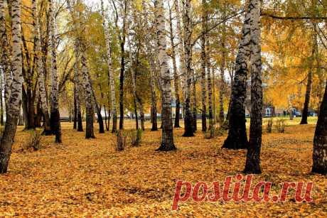 ФОТОМАСТЕРСКАЯ ПРИРОДЫ
Ольга Николаевна Горкун