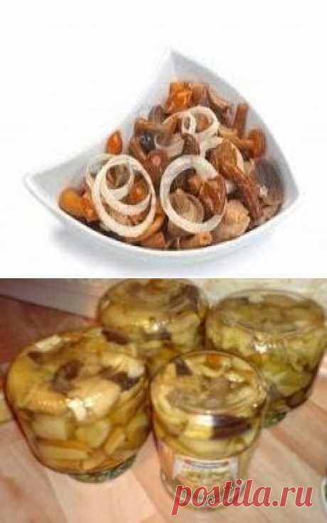 Быстрые маринованные грибы / Заготовка грибов / TVCook: пошаговые рецепты с фото