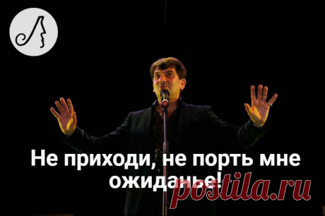 “Не приходи, не порть мне ожиданье!” 5 юмористических одностиший Владимира Вишневского | Личности | Яндекс Дзен