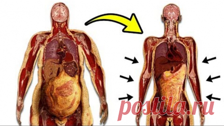 Как Избавиться От ВИСЦЕРАЛЬНОГО ЖИРА за 10 МИНУТ в день